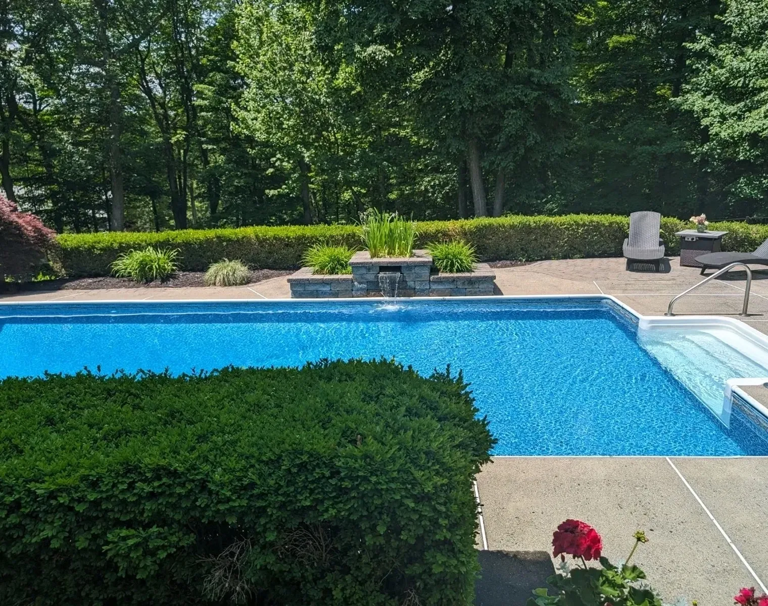 A swimming pool with bushes and trees in the background.